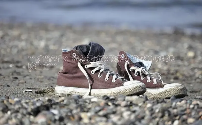 意昂3手机版官方版下载安装最新版本哇咔哇咔文化**时尚必备：橙色运动鞋鞋带的搭配技巧和选
购指南**