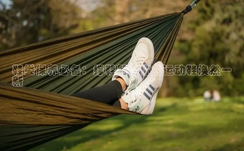 意昂3平台注册网页版百度数据开放平台鞋类保养必备：撑鞋器让你的运动鞋焕然一
新