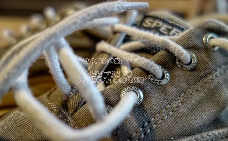 意昂3登陆入口即登录百度智能云**优化后的标题：**

**大猩猩运动鞋：非
凡舒适和风格的终极指南**