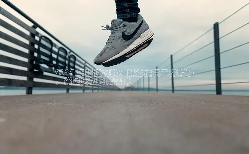 意昂3入口登录雷柏科技2024 年超值爆款：舒适透气二棉鞋子
，满足您的日常需求