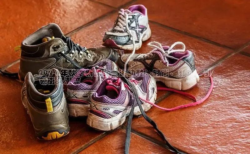 意昂3登陆入口即登录知乎2024 年秋季新款女士运动鞋：时尚、舒适，引
领街头潮流