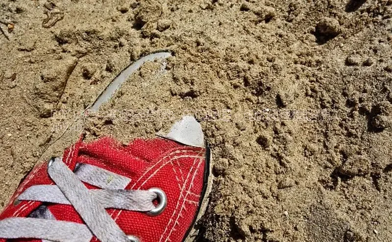 意昂三登录入口百度游戏DIY 皮毛一体鞋子教程：打造温暖、时尚的舒适鞋履（
2024）