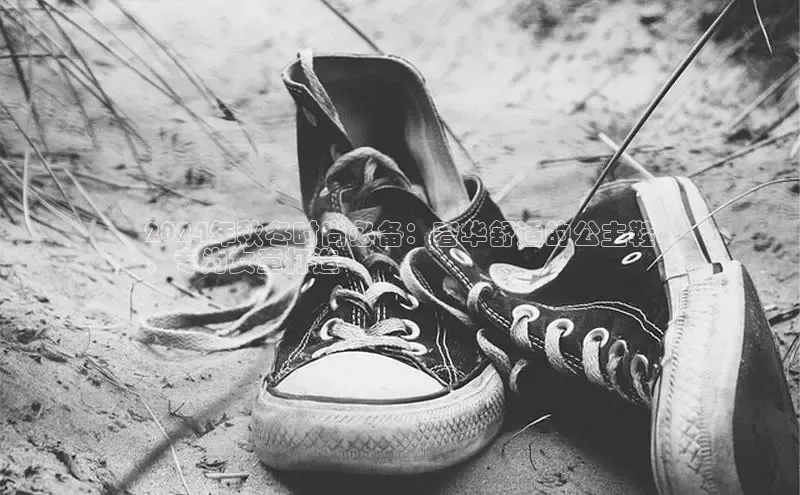 意昂3手游官网下载百度营销中心2024年秋冬时尚必备：奢华舒适的公主鞋
，专为女童打造