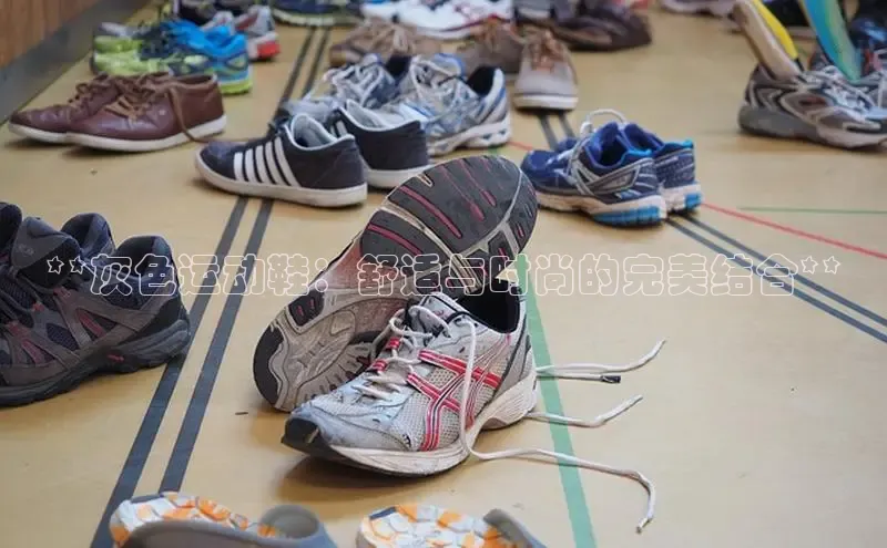 意昂3平台注册网页版百度数据开放平台**灰色运动鞋：舒适与时尚的完美结合**