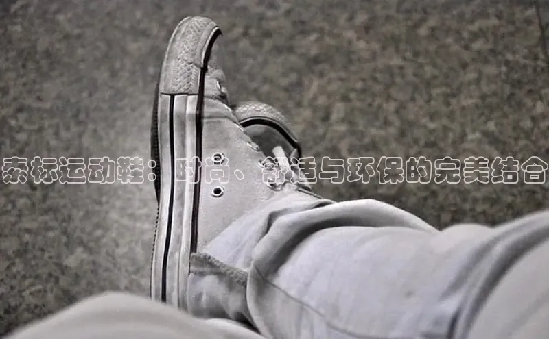 意昂3入口登录百度游戏开放平台素标运动鞋：时尚、舒适与环保的完美结合