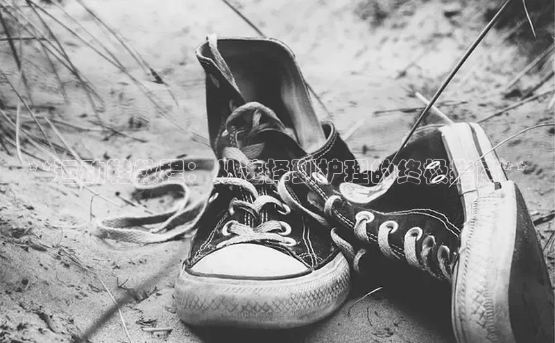 意昂3登陆入口即登录普信公司**运动鞋教程：从选择到护理的终极指南**