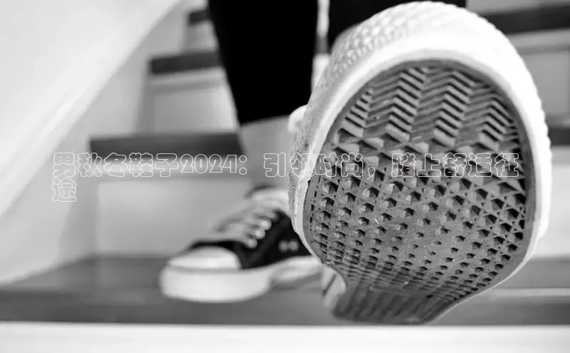 意昂3登陆入口携程男秋冬鞋子2024：引领时尚，踏上舒适征
途