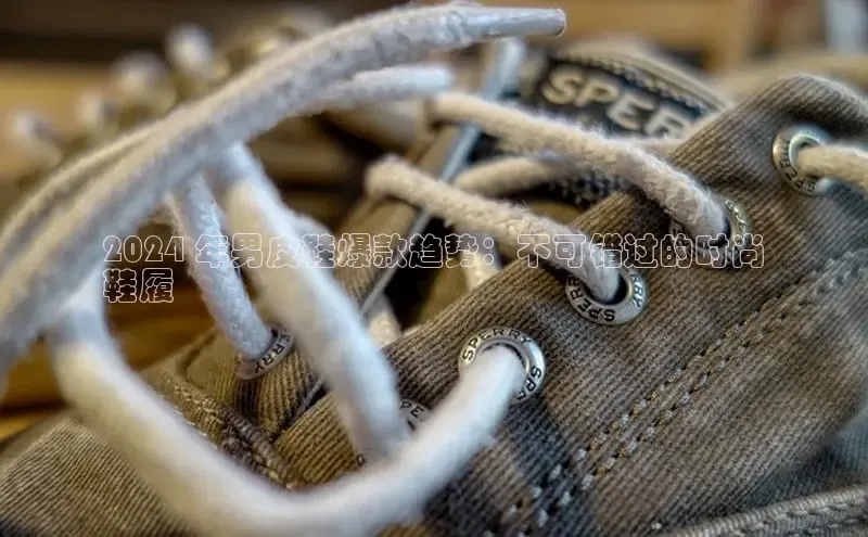 意昂3平台注册网页版中海达2024 年男皮鞋爆款趋势：不可错过的时尚
鞋履