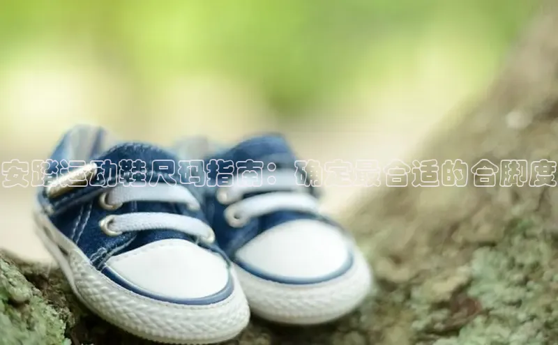 意昂3手机登录官方网站百度搜索资源平台安踏运动鞋尺码指南：确定最合适的合脚度