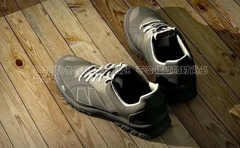 意昂三登录入口极氪智能科技2024 秋冬爆款男士鞋履：不容错过的时尚必
备单品