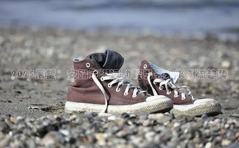 意昂3入口登录58同城2025展望：安踏宽脚运动鞋引领未来潮流趋势