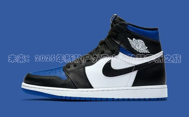 未来：2025年新款户外登山运动鞋革新之旅