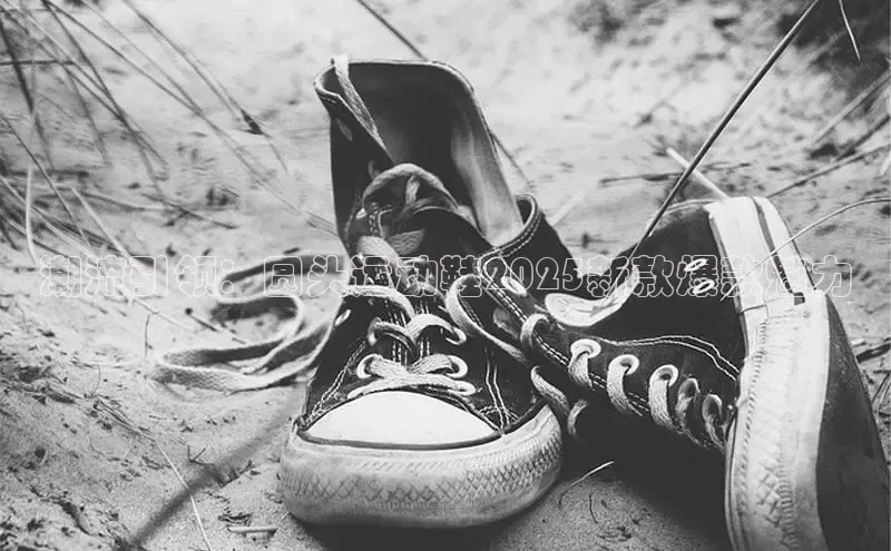 潮流引领：圆头运动鞋2025新款爆款魅力