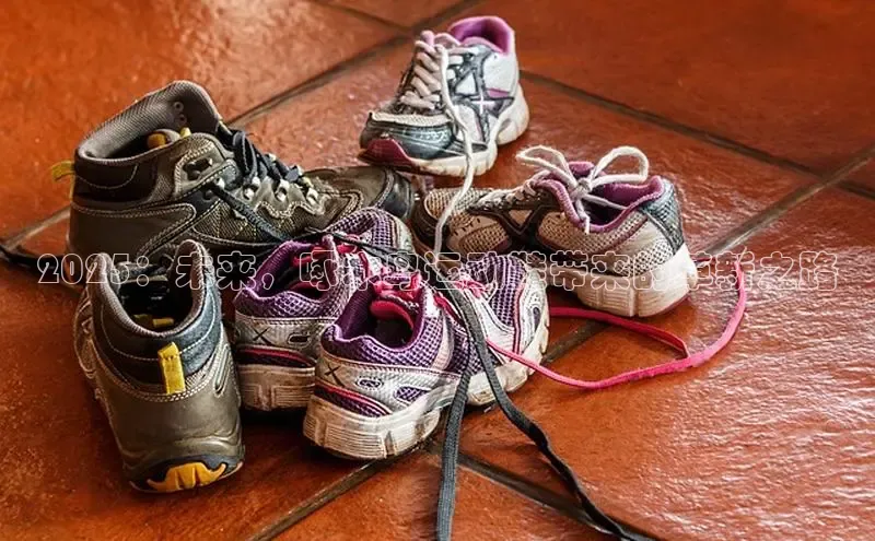 2025：未来，啄木鸟运动鞋带来的革新之路